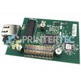 PLACA ZEBRA ZM400 / ZM600 / 105SL PLUS DE REDE