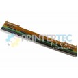 CABEÇA ZEBRA ZD421T 203DPI