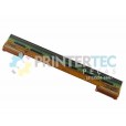 CABEÇA ZEBRA ZD421T 203DPI